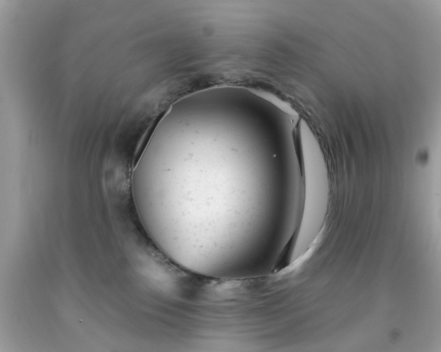 X0000091660186200709061028