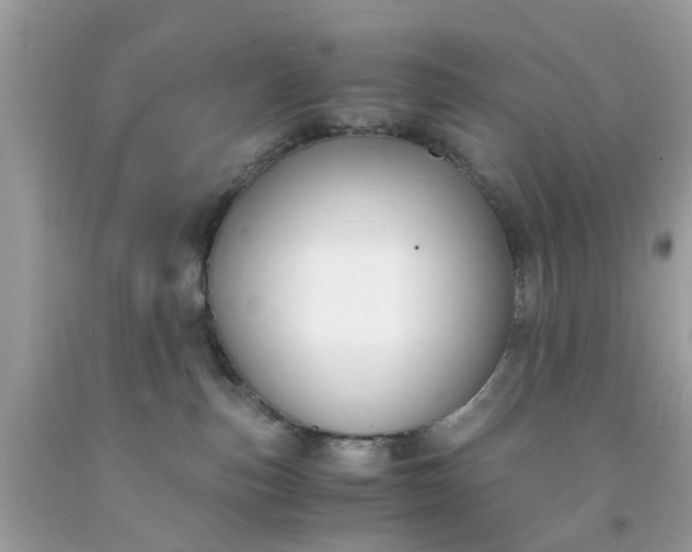 X0000091660187200709061028