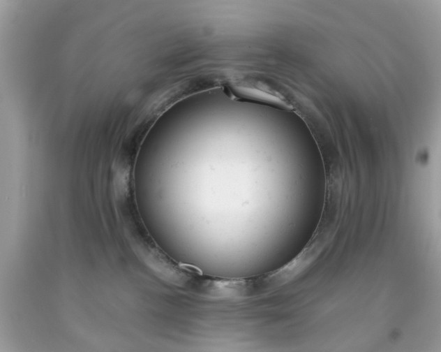 X0000091660188200709061028