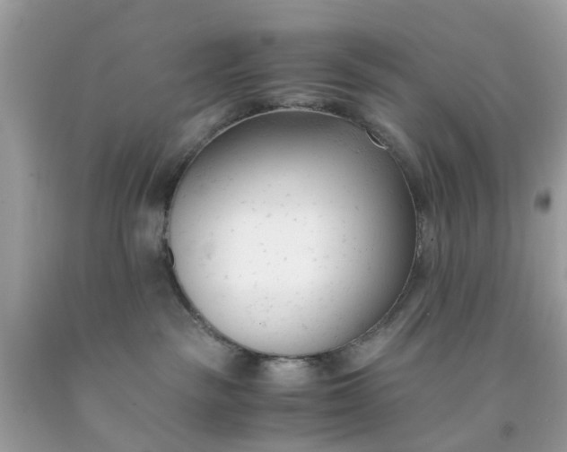 X0000091660189200709061028