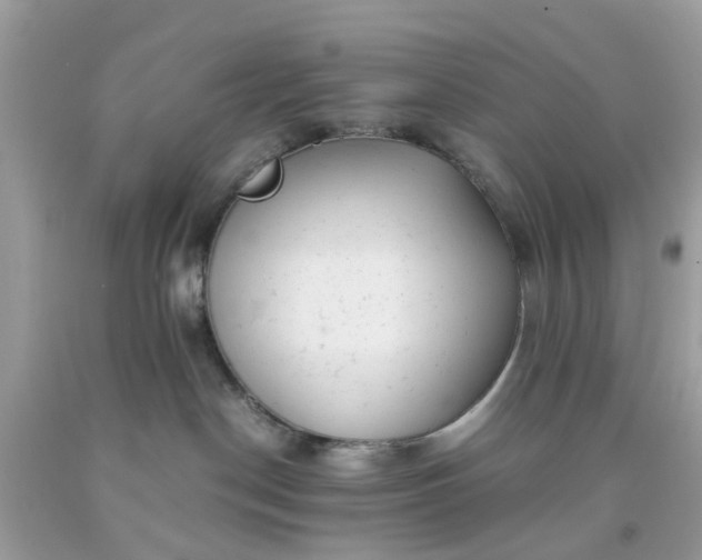 X0000091660190200709061028