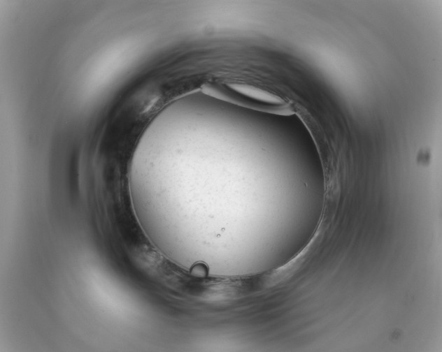 X0000091660191200709061028