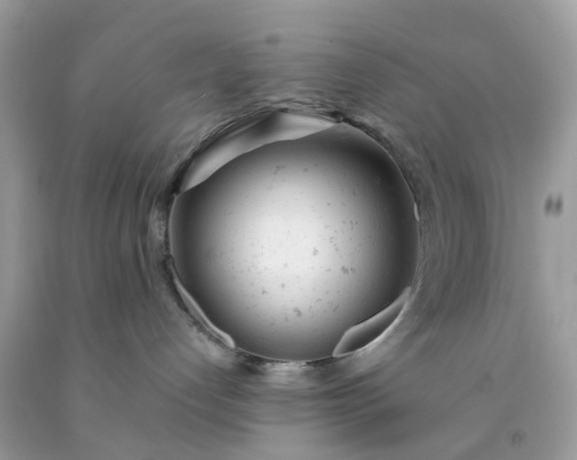 X0000091660192200709061028