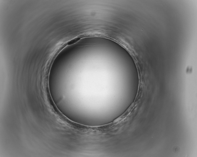 X0000091660193200709061028