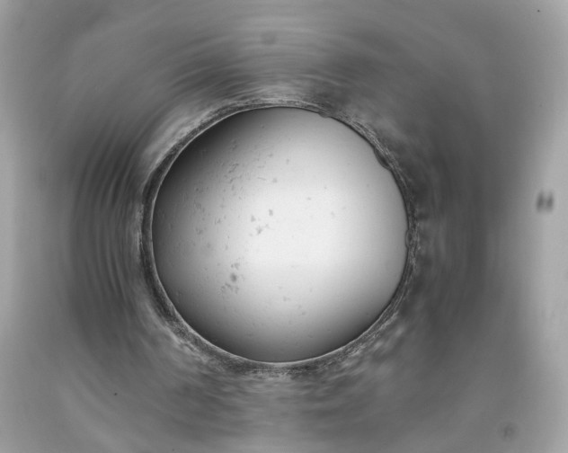 X0000091660194200709061028