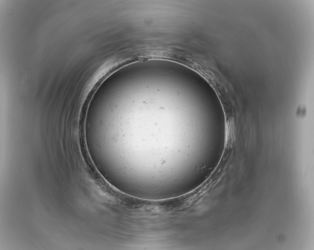 X0000091660195200709061028