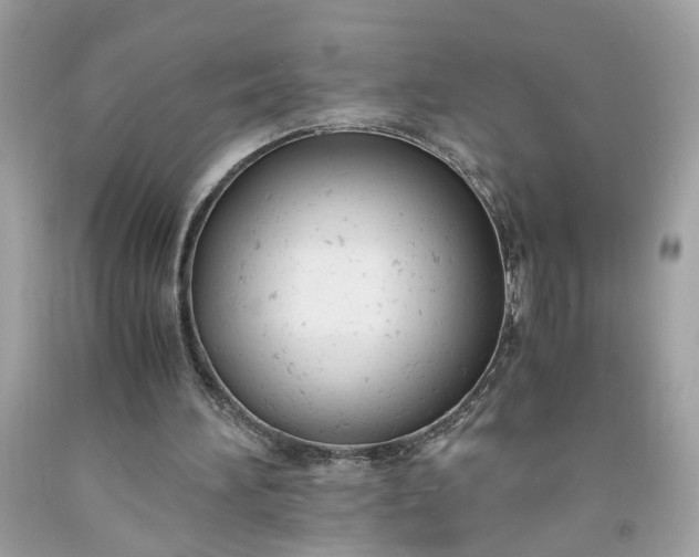 X0000091660196200709061028