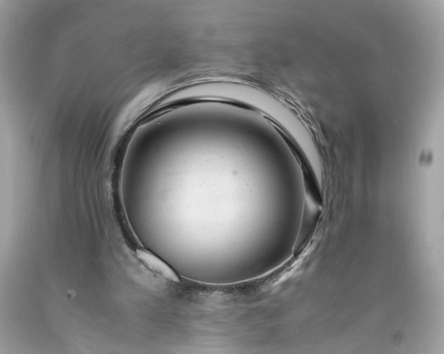 X0000091660197200709061028