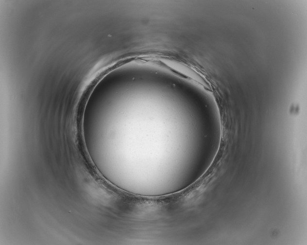 X0000091660198200709061028