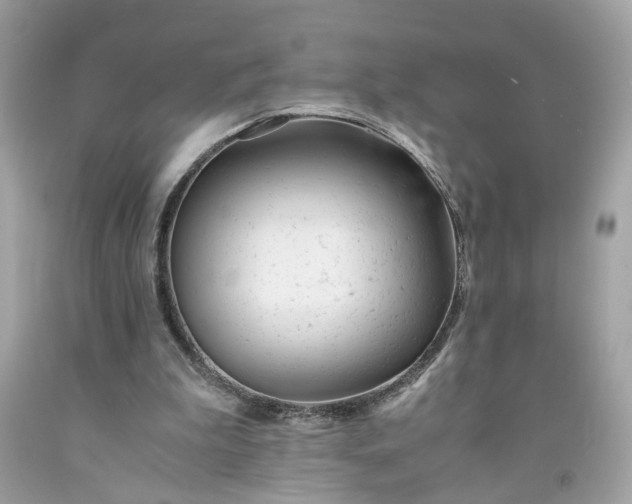 X0000091660199200709061028