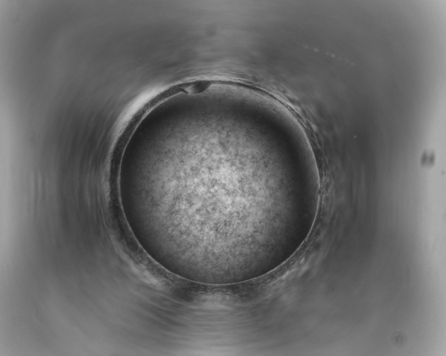 X0000091660200200709061028