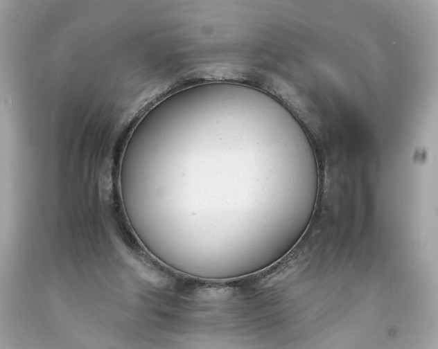 X0000091660202200709061028