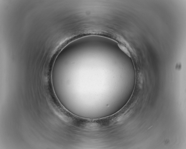 X0000091660203200709061028