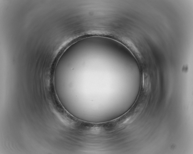 X0000091660204200709061028