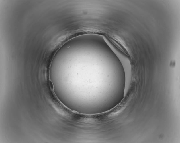 X0000091660205200709061028