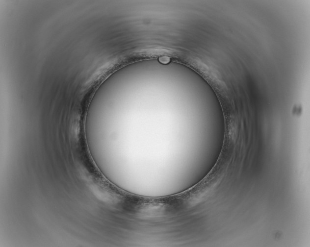 X0000091660206200709061028