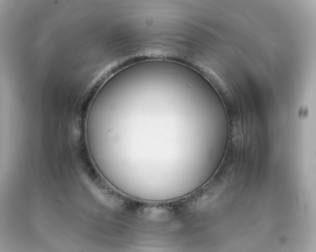 X0000091660208200709061028