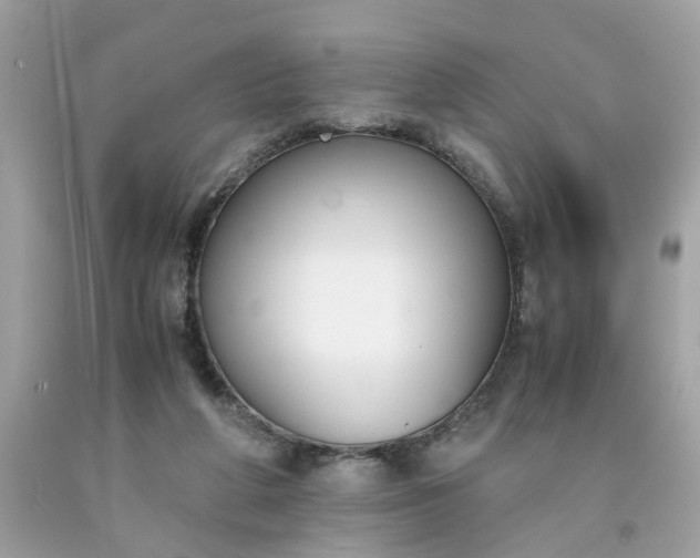 X0000091660210200709061028