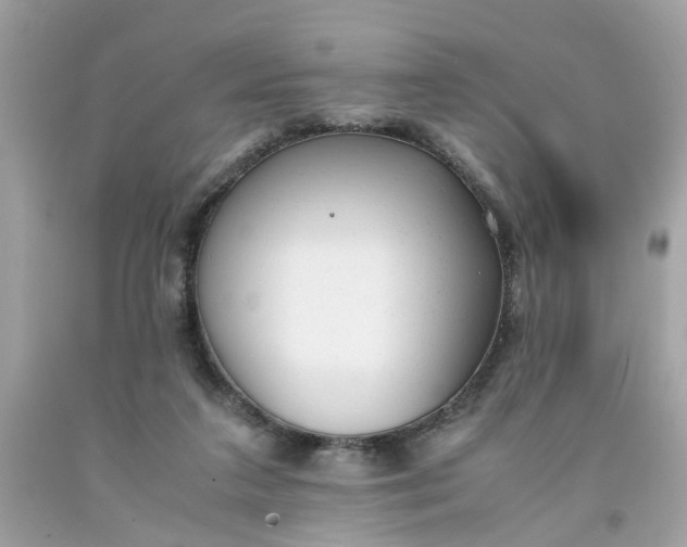 X0000091660211200709061028