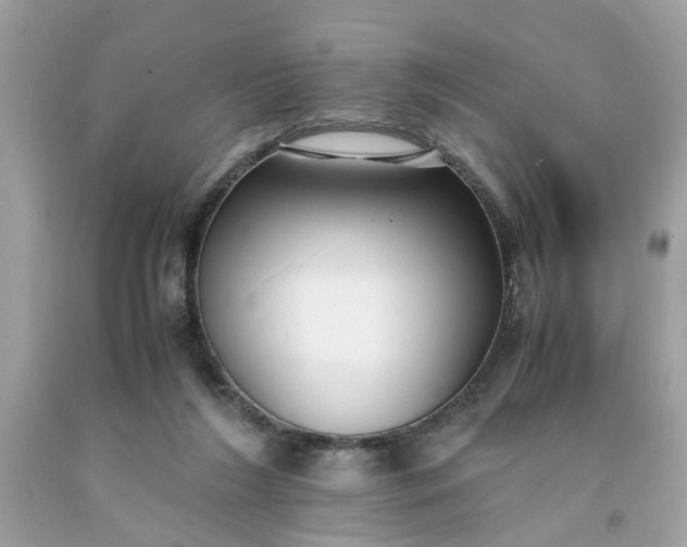 X0000091660212200709061027