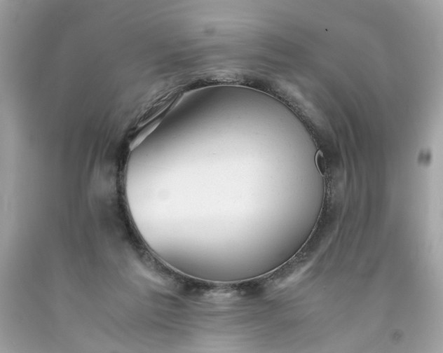 X0000091660213200709061027