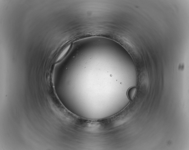 X0000091660214200709061027