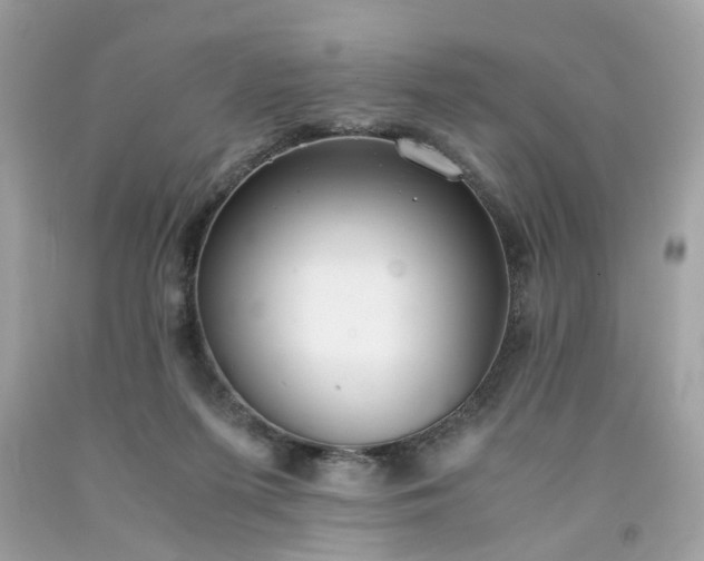 X0000091660215200709061027