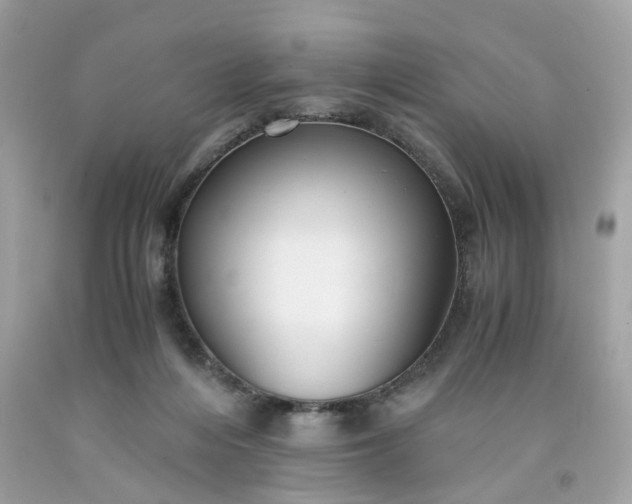 X0000091660216200709061027