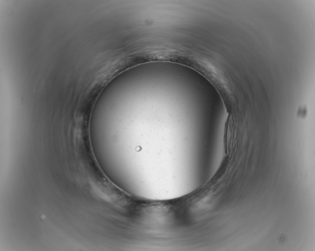 X0000091660217200709061027