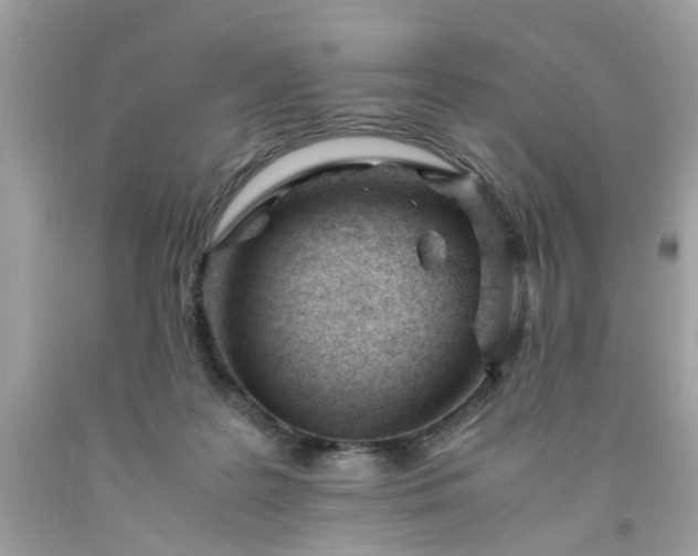 X0000091660219200709061027