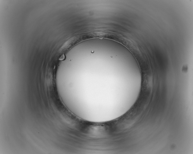 X0000091660220200709061027