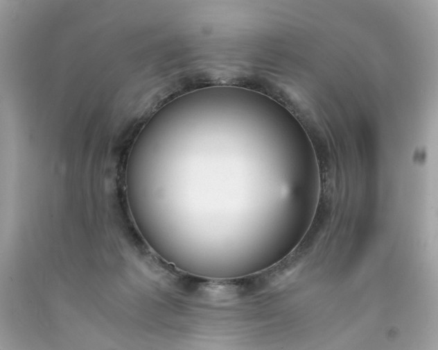 X0000091660221200709061027