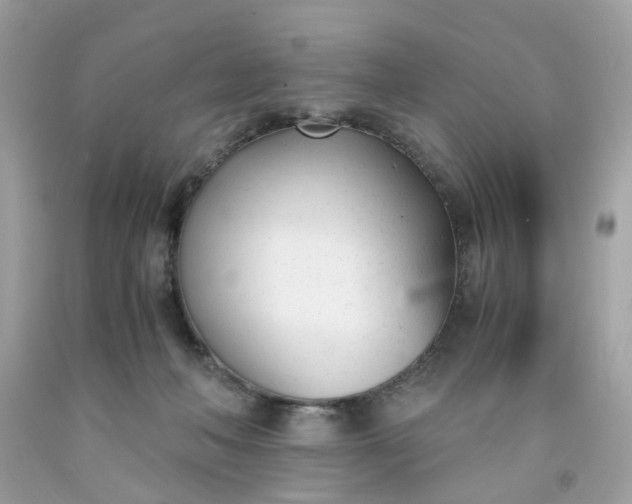 X0000091660222200709061027