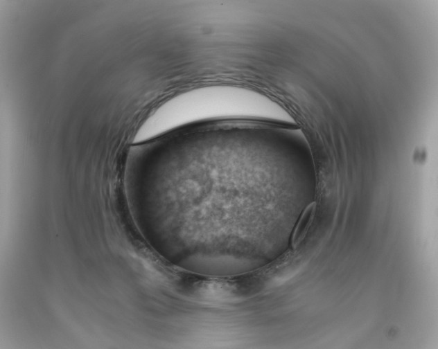 X0000091660223200709061027