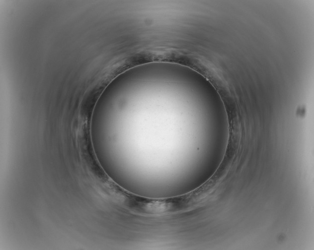 X0000091660225200709061027