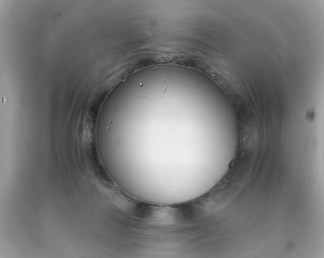 X0000091660226200709061027