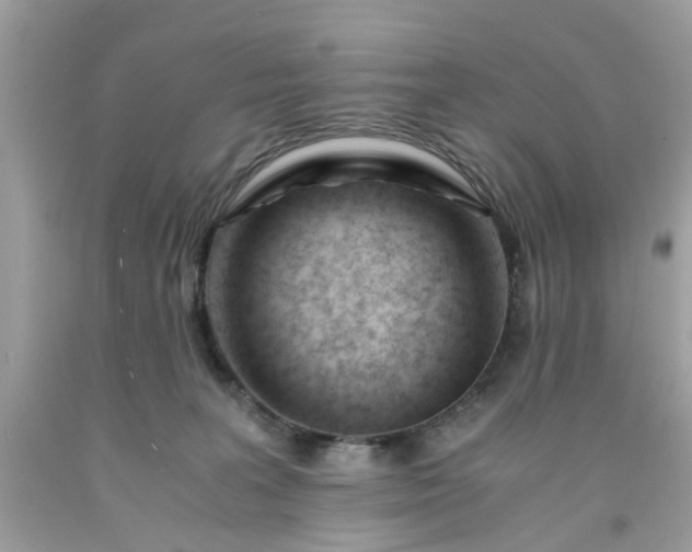 X0000091660227200709061027