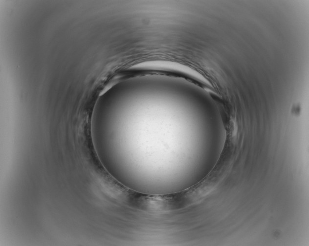 X0000091660229200709061027