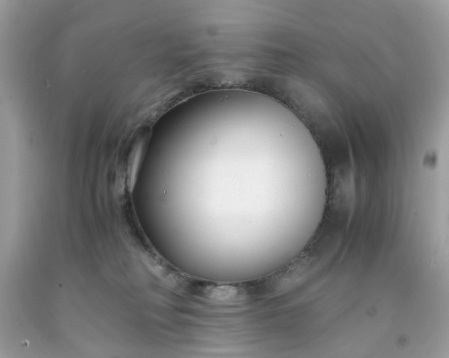 X0000091660230200709061027