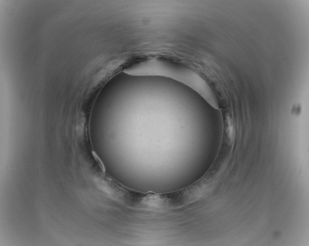 X0000091660231200709061027