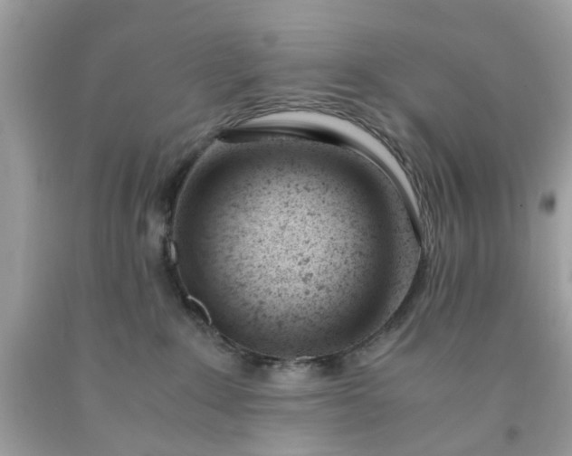 X0000091660235200709061027