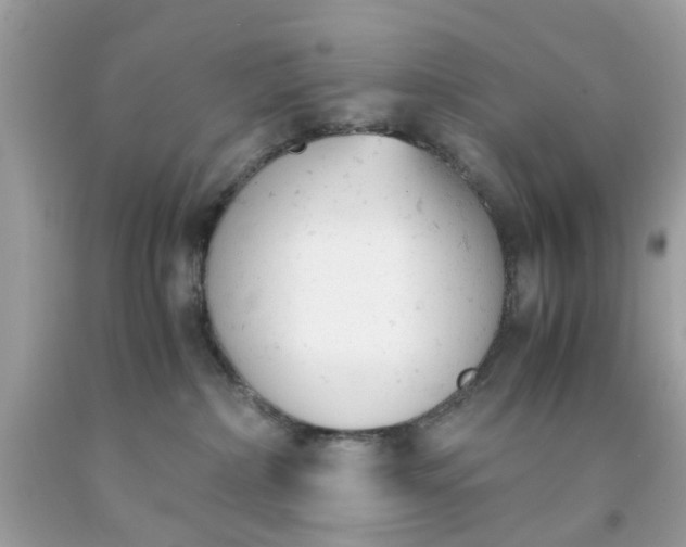 X0000091660236200709061027