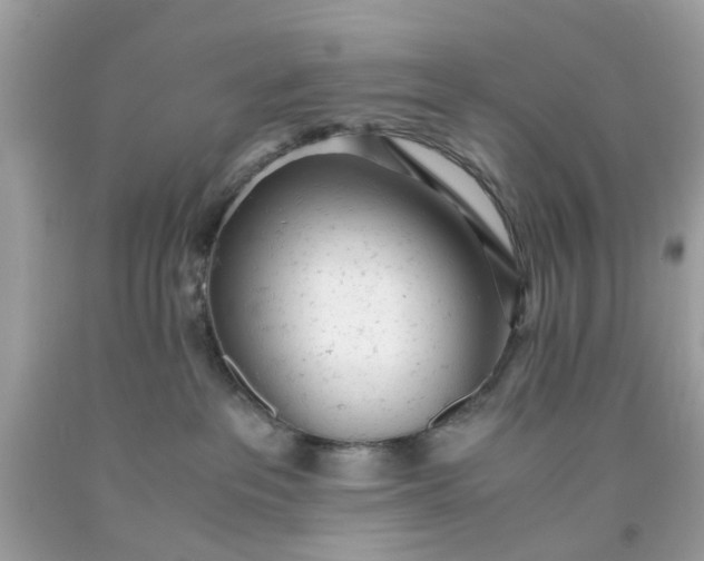 X0000091660237200709061027