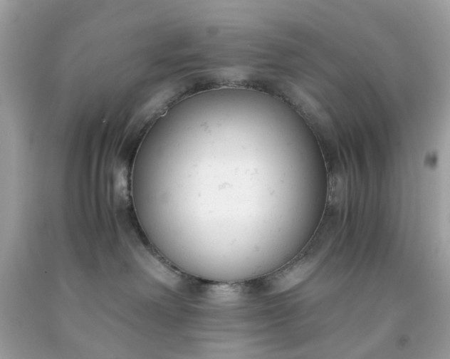 X0000091660238200709061027