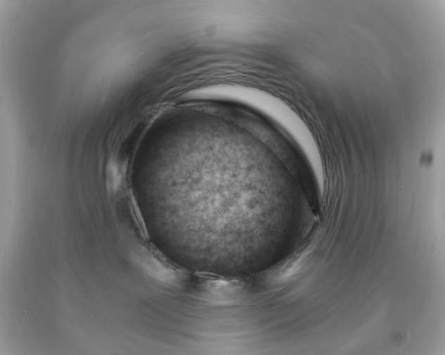 X0000091660239200709061027