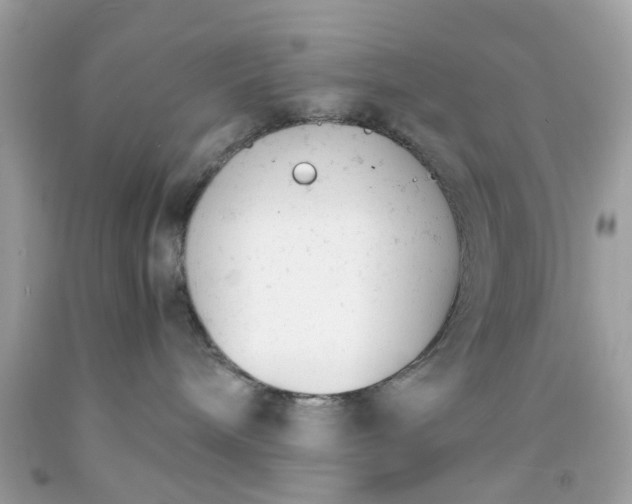 X0000091660240200709061027