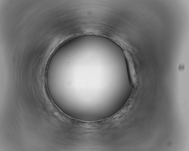 X0000091660241200709061027