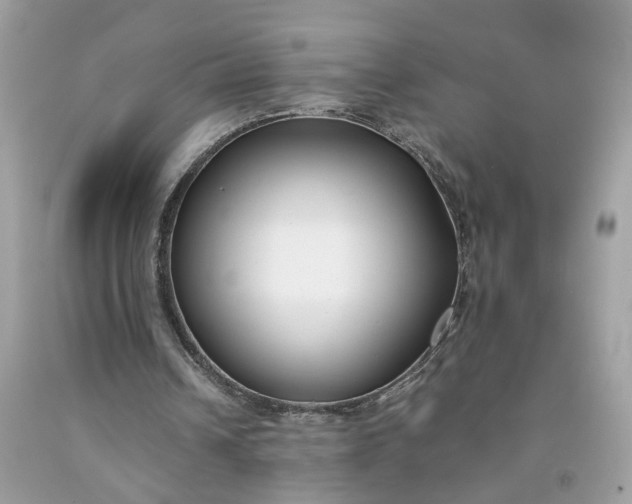 X0000091660242200709061027