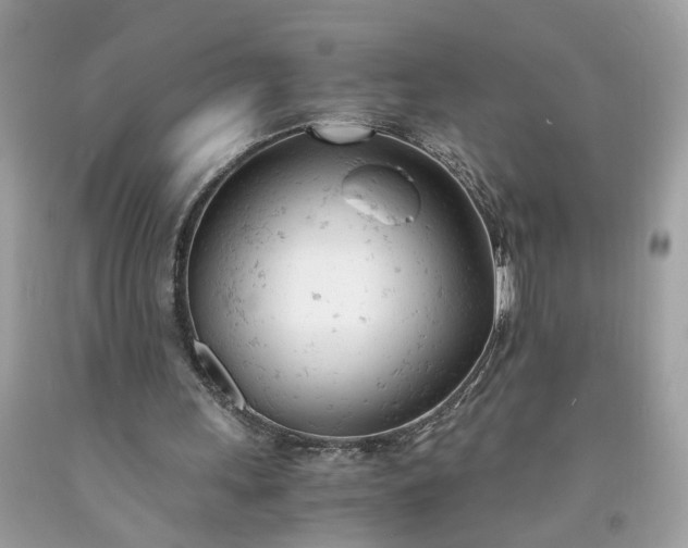 X0000091660243200709061027