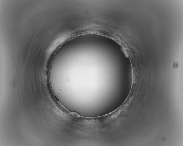 X0000091660245200709061027